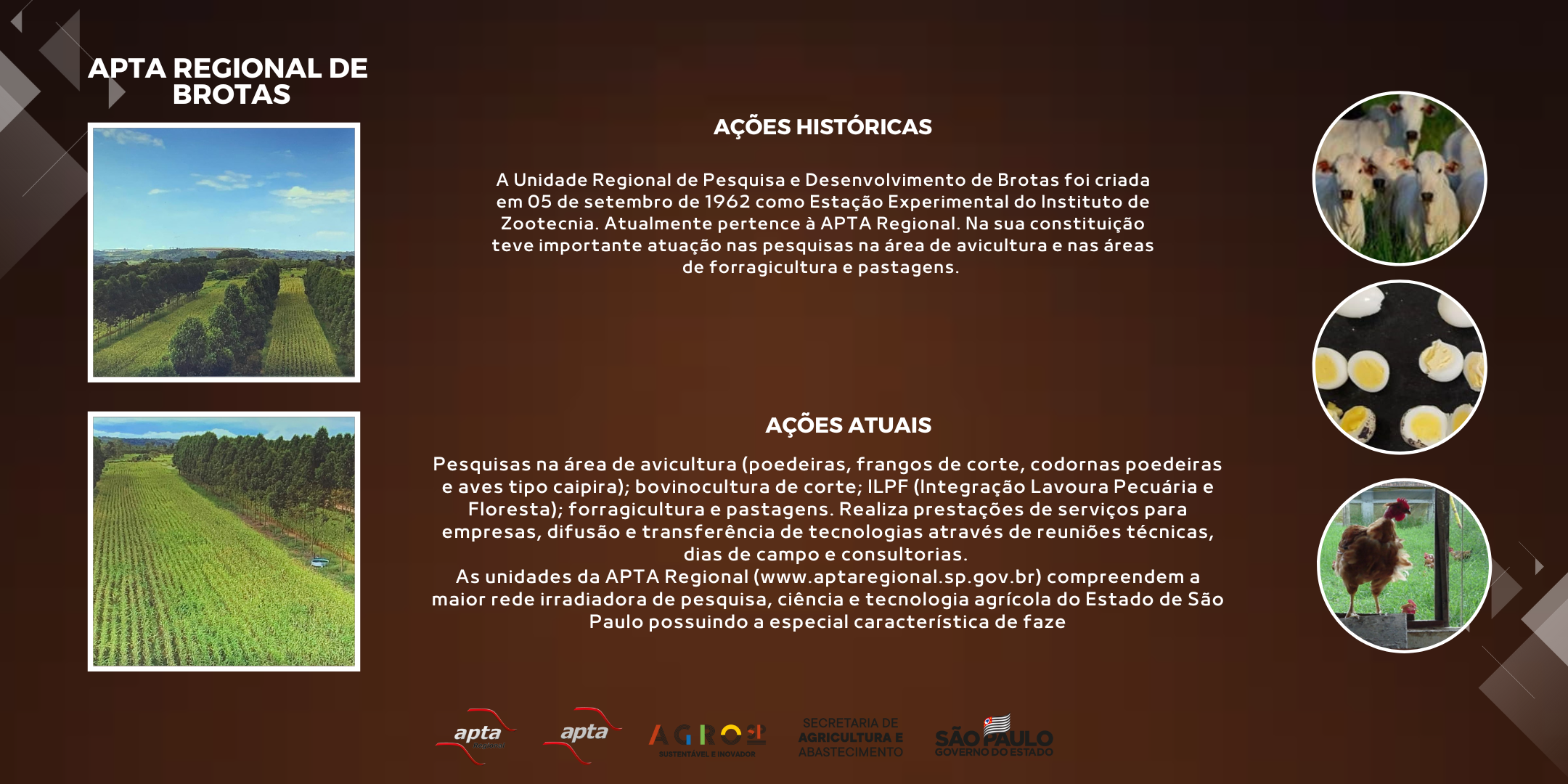 APTA REGIONAL DE BROTAS
